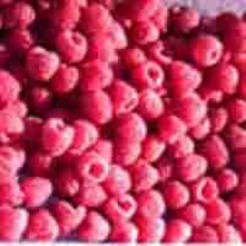 Raspberry Extract